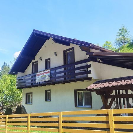 Casa Pietrosu Rodnei Hotell Borşa Eksteriør bilde