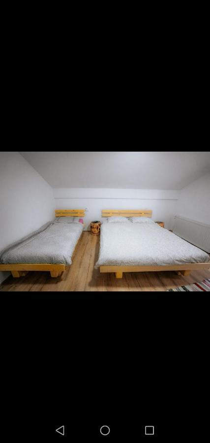 Casa Pietrosu Rodnei Hotell Borşa Eksteriør bilde