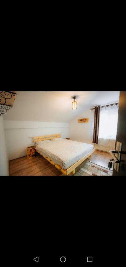 Casa Pietrosu Rodnei Hotell Borşa Eksteriør bilde