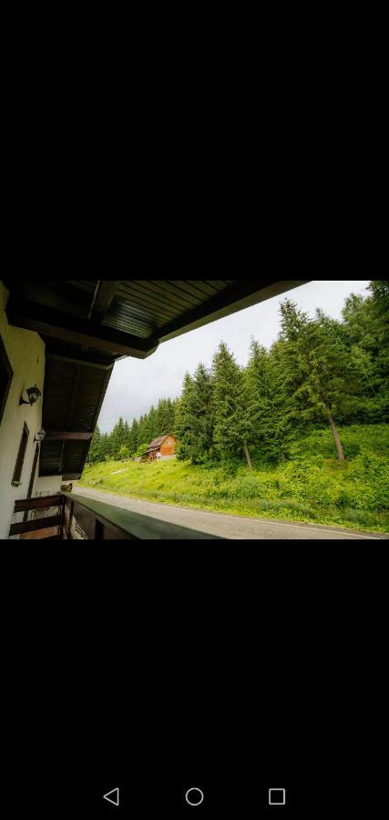 Casa Pietrosu Rodnei Hotell Borşa Eksteriør bilde
