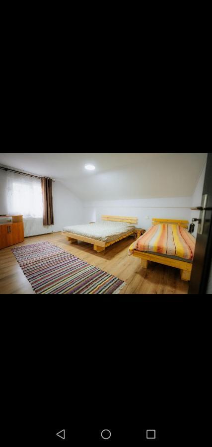 Casa Pietrosu Rodnei Hotell Borşa Eksteriør bilde