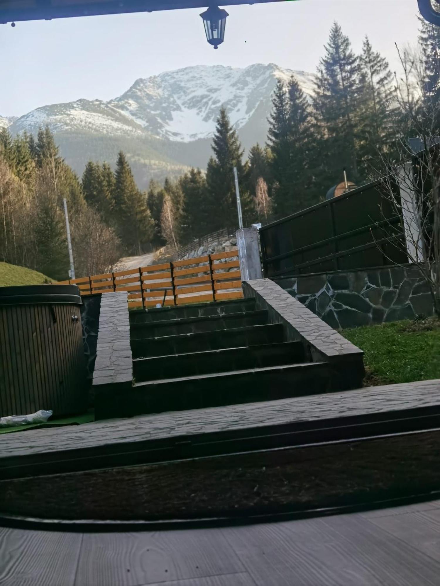 Casa Pietrosu Rodnei Hotell Borşa Eksteriør bilde