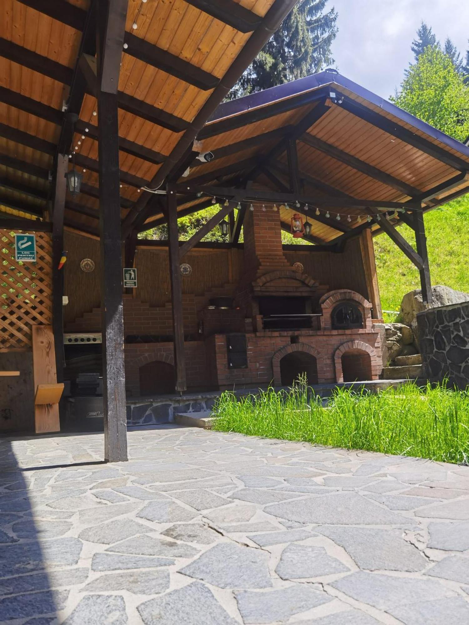 Casa Pietrosu Rodnei Hotell Borşa Eksteriør bilde